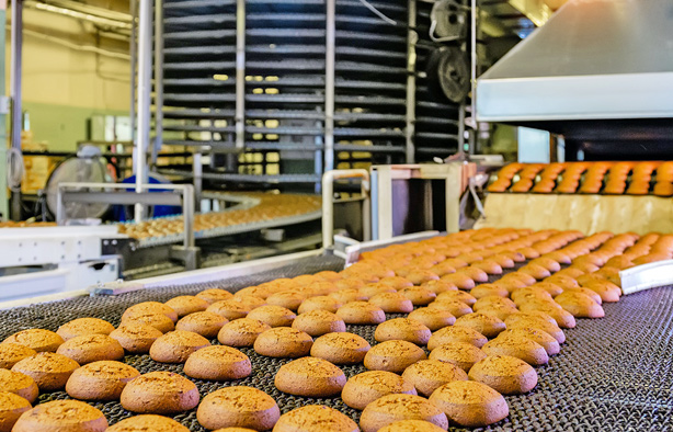 某大型食物加工厂可燃气体清静监测系统升级案例